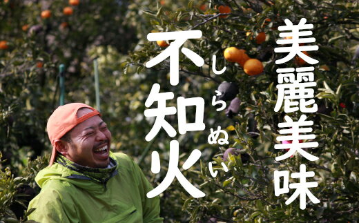 【予約商品】贈答用　不知火3kg　2月下旬から3月上旬より発送　デコポン 不知火 愛媛みかん 八幡浜 デコポンと同一品種　北海道、沖縄は700円追加