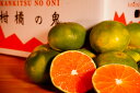 【予約商品】訳あり 愛媛県産 極早生みかん 5.5kg 10月上旬より発送 お得な家庭用 沖縄、北海道は別途700円頂戴致します(4)