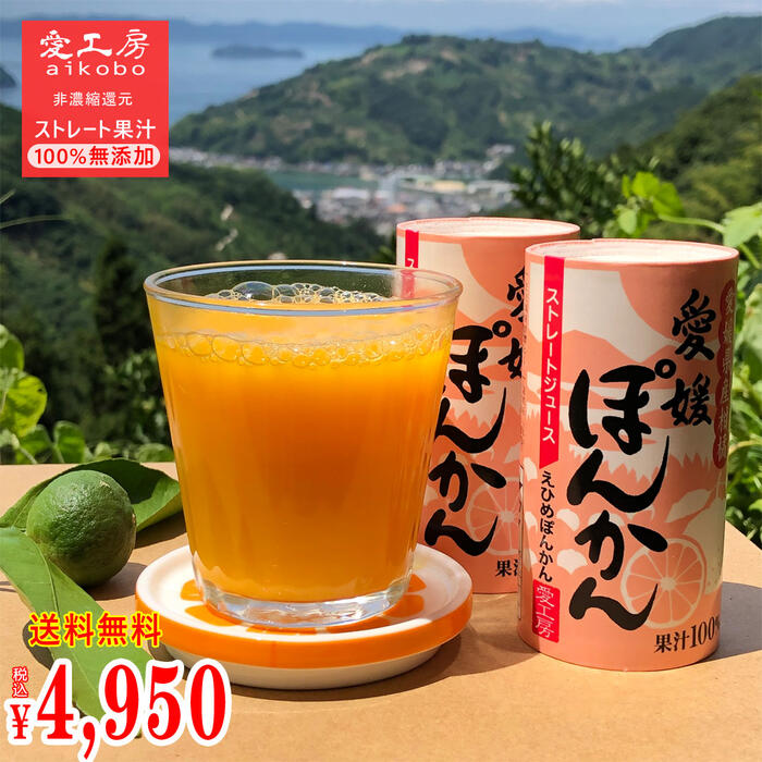 送料無料 愛工房 みかんジュース 紙パック 非濃縮還元 125ml 30本入り みかん ストレートジュース ドリンク 果汁100% 無添加 愛媛みかんジュース お中元 お歳暮 内祝い お返し 部活差し入れ ギ…