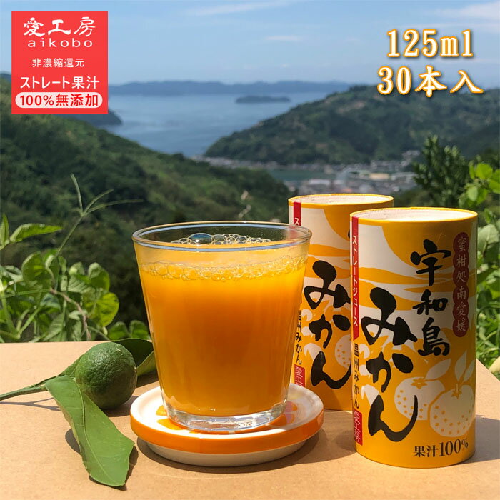 送料無料 愛工房 みかんジュース 紙パック 非濃縮還元 125ml 30本入り みかん ストレートジュース ドリンク 果汁100% 無添加 お中元 お歳暮 内祝い お返し ギフト プレゼント 部活 差し入れ お…