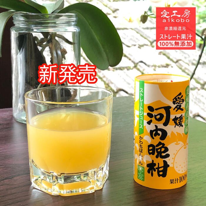 送料無料 愛工房 みかんジュース 紙パック 非濃縮還元 125ml 30本入り みかん ストレートジュース ドリンク 果汁100% 無添加 愛媛みかんジュース お中元 お歳暮 内祝い お返し 部活 差し入れ …