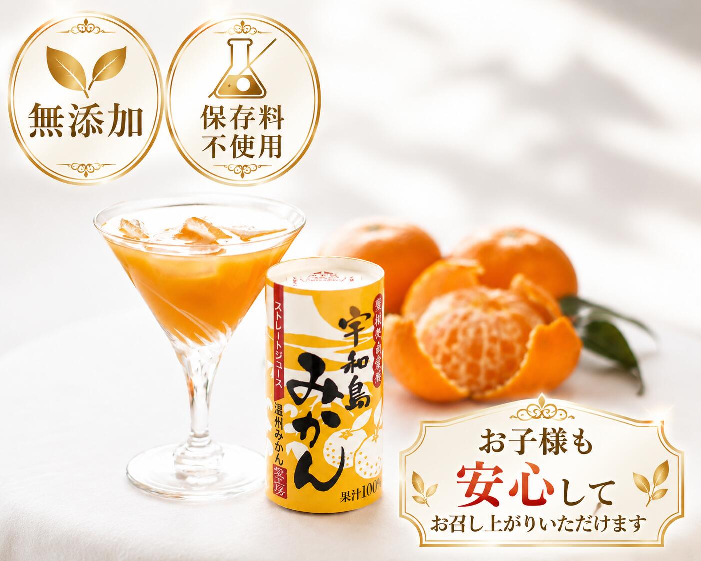 楽天市場】宇和島 愛工房（水・ソフトドリンク）の通販