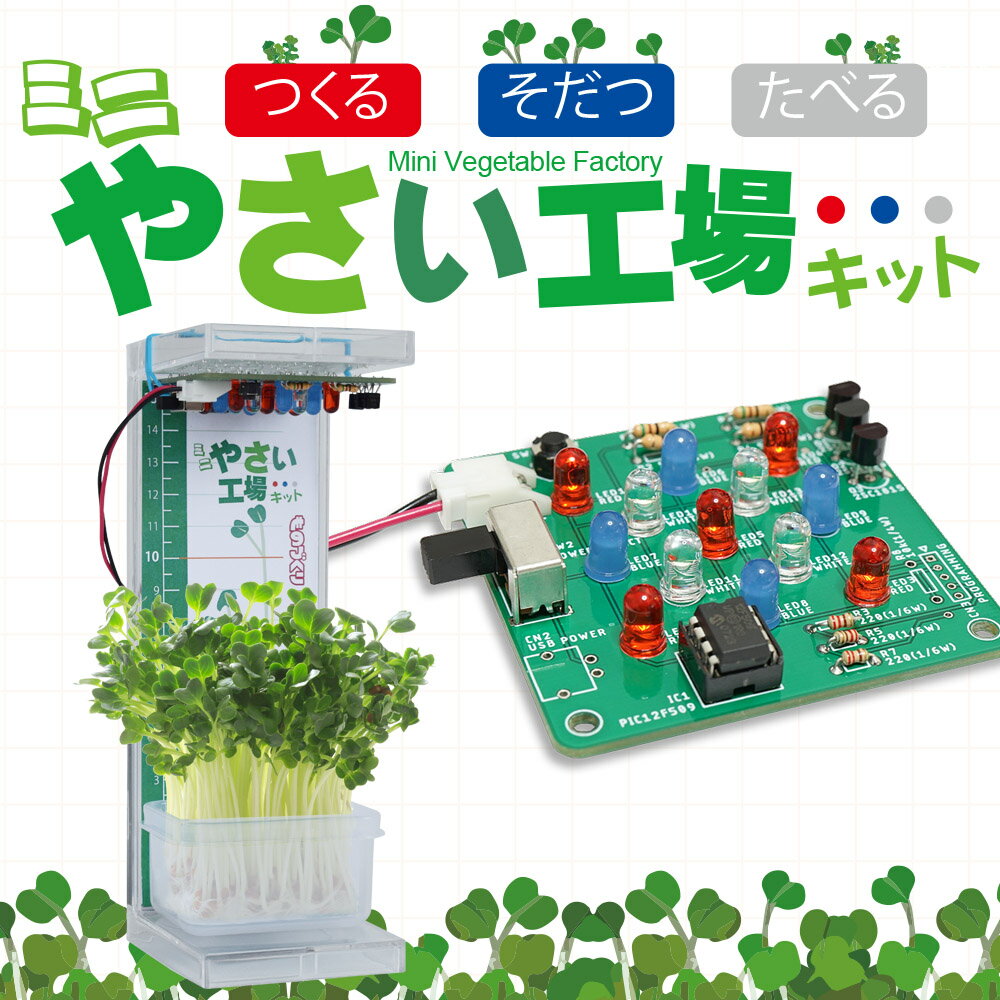 【ミニやさい工場キット DR-1V1】関西大学非常勤講師 西田嘉夫先生 監修 LEDライトの人工光合成で野菜を育てて食べる、野菜工場自由研究工作キット