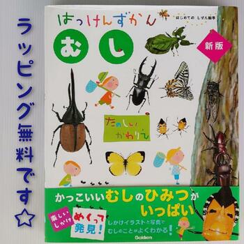 図鑑（2歳向き） 【送料込み】 はっけんずかん むし　新版 学研プラス しかけえほん 大人気 図鑑 2歳 3歳 4歳 幼児 人気 学習 絵本 女の子 男の子 孫 プレゼント 無料ラッピング 誕生日 おしゃれ かわいい