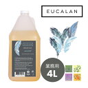 【ユーカラン公式】洗濯洗剤 ナチュラル無香料 ポンプ付き(サイズ4L、760回使える)すすぎ不要 オシャレ着洗剤 ニット ランジェリー 環境に優しい 香りに敏感な方に 大容量 詰め替え EUCALAN natural