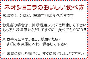 アイスネオショコラ10本入り(送料込)