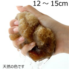 https://thumbnail.image.rakuten.co.jp/@0_mall/eigekai-sponge/cabinet/05994768/1bn357.jpg