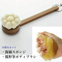 熊野筆・海綿セット ボディブラシ(花型 柄付・桐箱入)22,000円と 天然海綿スポンジMサイズ3,880円のお得なセット商品ボディケア優しく肌のお手入毛量たっぷり2020年伝統的工芸品公募展入選バスタイム送料無料(4)