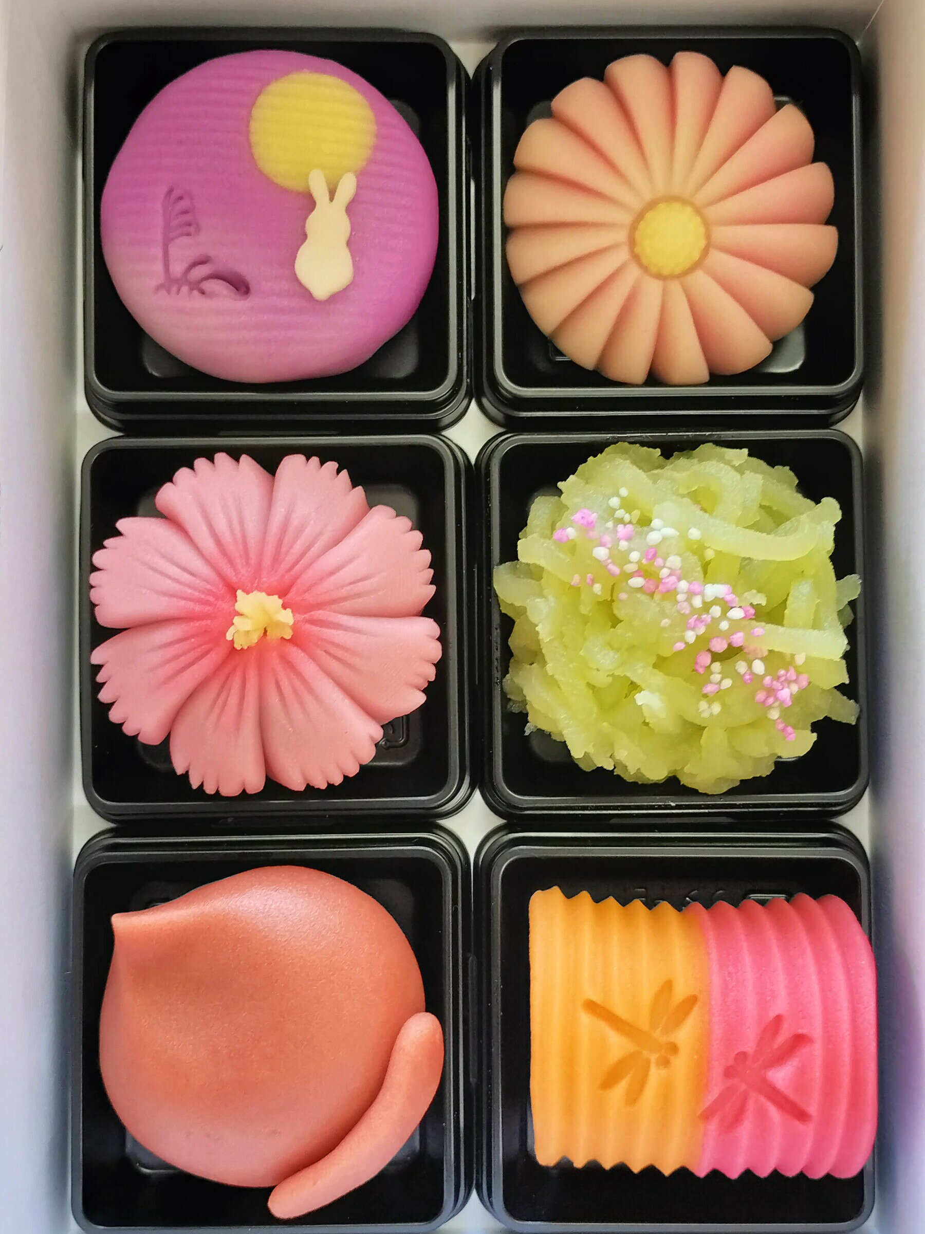 9月の上生菓子6個入り