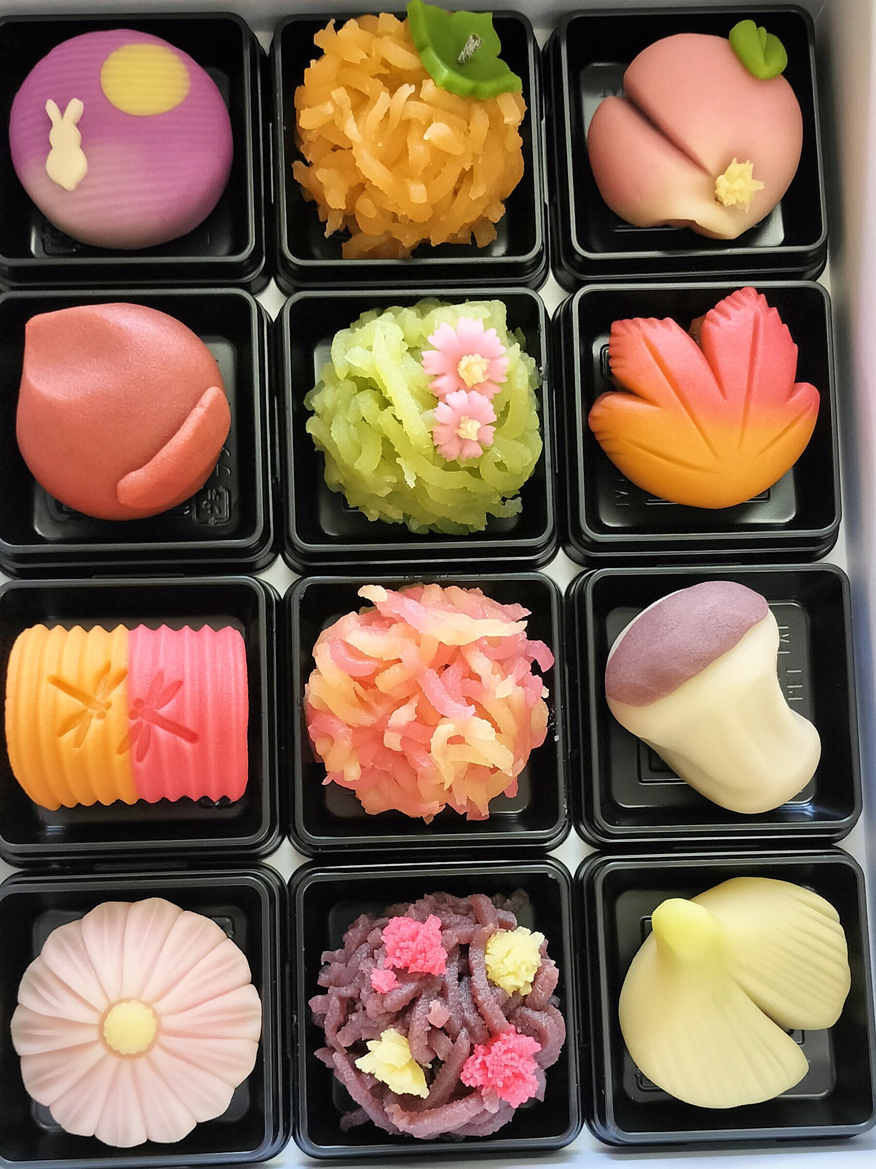 秋の上生菓子12種　　秋季限定　敬老の日　贈り物　自分へのご褒美に