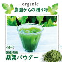桑の葉パウダー 国産 有機 無添加 オーガニック 有機JAS認証 桑葉粉末 お菓子作り ギフト 無農薬 健康茶 授乳中 飲める 糖質制限 桑茶 桑の茶葉 産地直...