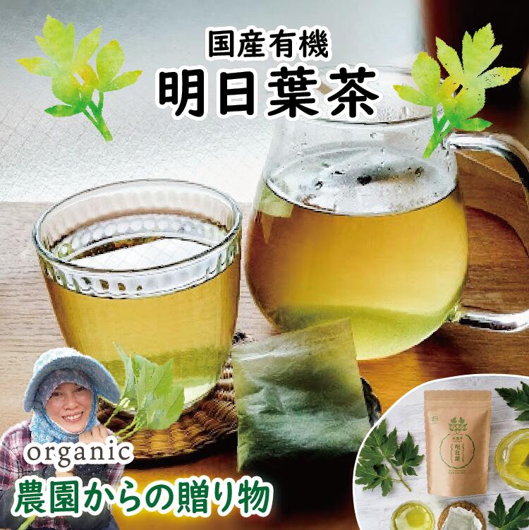 有機 明日葉 お茶 滋賀 国産 オーガニック永源寺マルベリー 有機JAS ティーパック 送料無料 ノンカフェイン アシタバ カルコン あしたば カリウム 健康食品 健康茶 ミネラル ポリフェノール 食物繊維