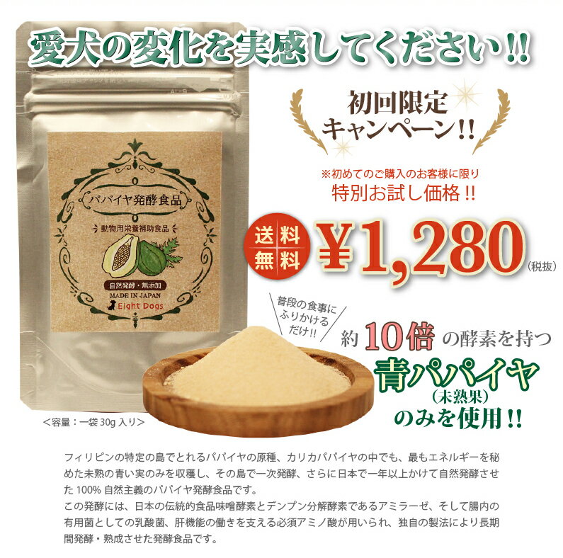 【パパイヤ発酵食品/犬サプリ/犬　酵素】