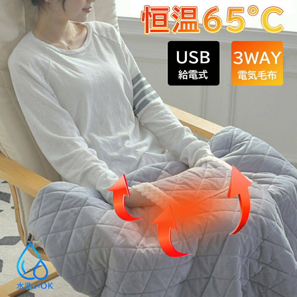電気毛布 掛け敷き 60*80cm/70*100cm 65℃ USB給電式 丸洗い ポケット付き 1人掛け 電気ひざ掛け 膝掛け 電気ブランケット 湯たんぽ フランネル ふわふわ 柔らかい リビング オフィス キャンプ 寒さ対策グッズ 冷え対策 暖房器具 車内用 旅行出張 職場用 静音 PSE認証済