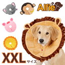 ソフトエリザベスカラー ≪エリザベスカラー XXL≫ 犬 猫 ペット 軽量 柔らかい 簡単装着 やわらか 引っかき 傷舐め 足舐め 防止 傷口 保護 手術 怪我 ケガ 病気 術後 トリミング XS S M L XL XXL 【正規品】 Alfie アルフィー アメリカ