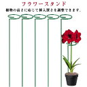 屋外 植物 栽培 蘭 蝶 園芸用品 家庭菜園 45cm バラ アイアン 園芸 ユリ 10個セット ガーデニング 35cm プランター サポート 支柱 保護 固定...
