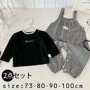 子ども 2点セット プレセント 新生児 お部屋着 コットン 快適 ベビー服 可愛い 肌着 写真記念 出産祝い 長袖 ロ 女の子 さらっと