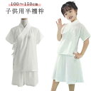 衿付き 快適 Tシャツ 肌着 初心者 速乾 肌襦袢 子供用 ホワイト 簡単 白 単 女の子 着物 半袖 子供 ガールズ 男の子 半襦袢 下着