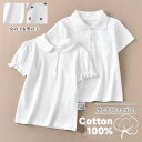 韓国 韓国こども服 tシャツ 赤ち 男の子 可愛い ベビー服 ポロシャツ 女の子 キッズ 子供服 ベビー服 夏服 綿100% 半袖 おしゃれ