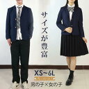 ズボン スカート 上下セット キッズ 女子 男子 女の子 男の子 子供服 スクール服 スクールブレザー フォーマル 卒業式 入園式 受