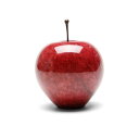Marble Apple - Red / Large }[uAbv bh^[W | G u y[p[EGCg IuWF v`Mtg v[g j 蕨 |Cg  ܂