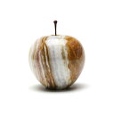 Marble Apple - Stripe / Large }[uAbv XgCv^[W | G u y[p[EGCg IuWF v`Mtg v[g j 蕨 |Cg  ܂