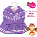 ティズちゃん人形 着せ替え 紫CHEERユニ ユニフォームのみ プレゼント ギフト 小物 子ども キッズ 大人 チアリーディング チアダンス エイティズ