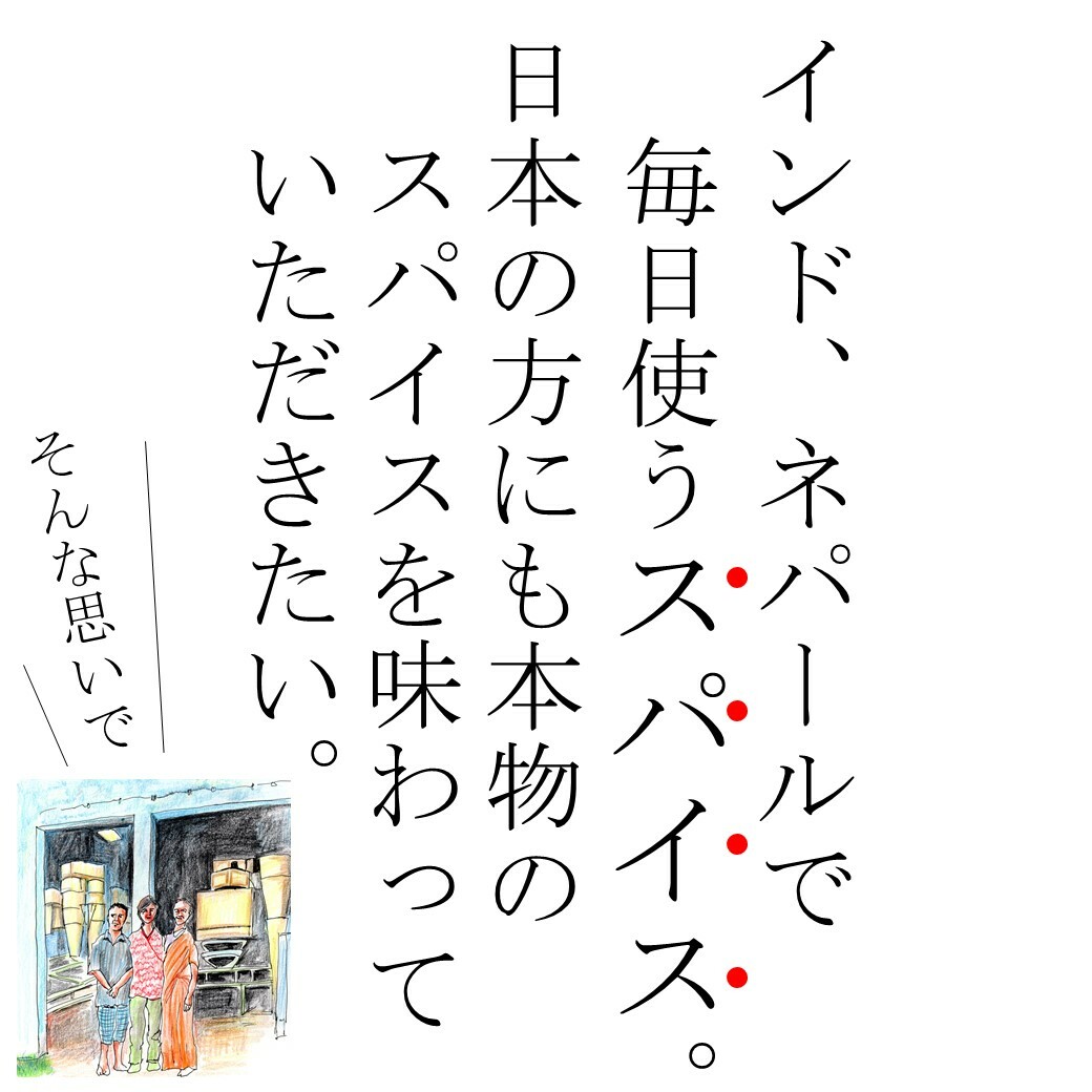 調味料 胡椒 翌日配送 100 ヒハツ パウダー 100g 送料無料 ロングペッパー ヒハツ粉末 冷え対策 タイツー 温活 お買い得 インド産 Tie2 ゴースト血管 ヒハツパウダー 香辛料 スパイス ひはつ