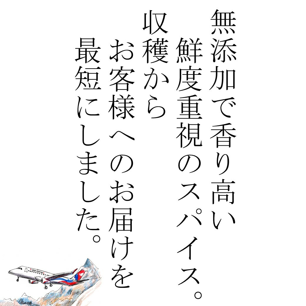 調味料 胡椒 翌日配送 100 ヒハツ パウダー 100g 送料無料 ロングペッパー ヒハツ粉末 冷え対策 タイツー 温活 お買い得 インド産 Tie2 ゴースト血管 ヒハツパウダー 香辛料 スパイス ひはつ