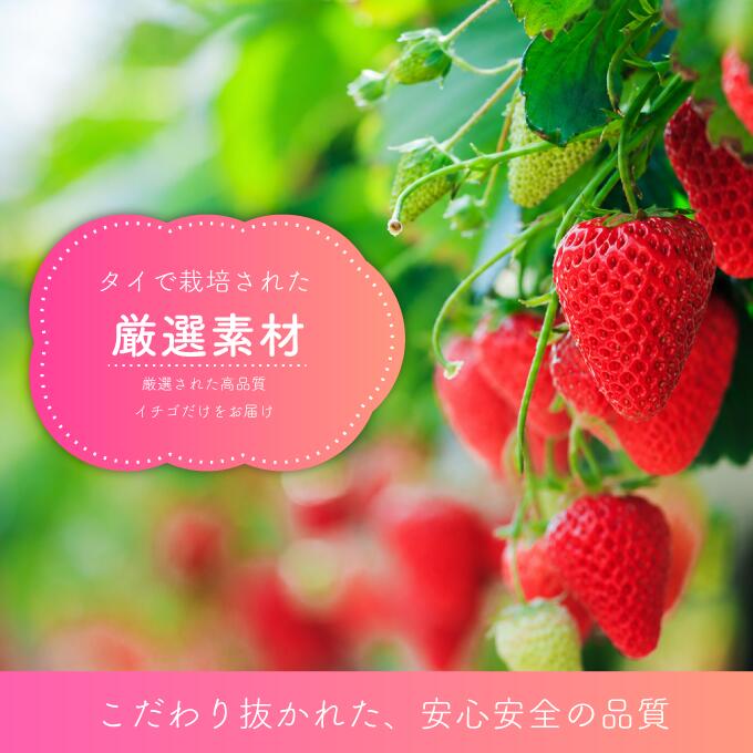 Eight Shopのドライ ストロベリー ドライフルーツ 500g いちご 乾燥いちご いちご丸ごと トッピング チャック付き 大容量 業務用 タイ産 dried strawberry｜アングル2