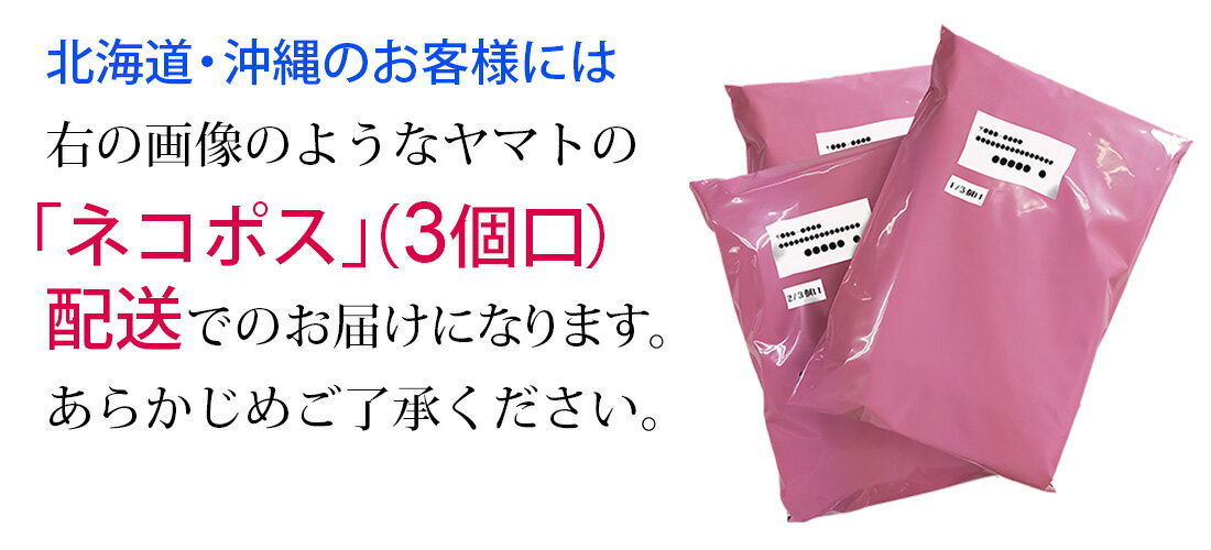 半袖 5枚セット 白ドビー クレリック ワイシャツ メンズ ボタンダウン ドウェ 形態安定 Yシャツ ビジネス ホワイト 9タイプ 6サイズ スリム 標準体 M L LL 3L から選べる HC&HP5枚セット 送料無料