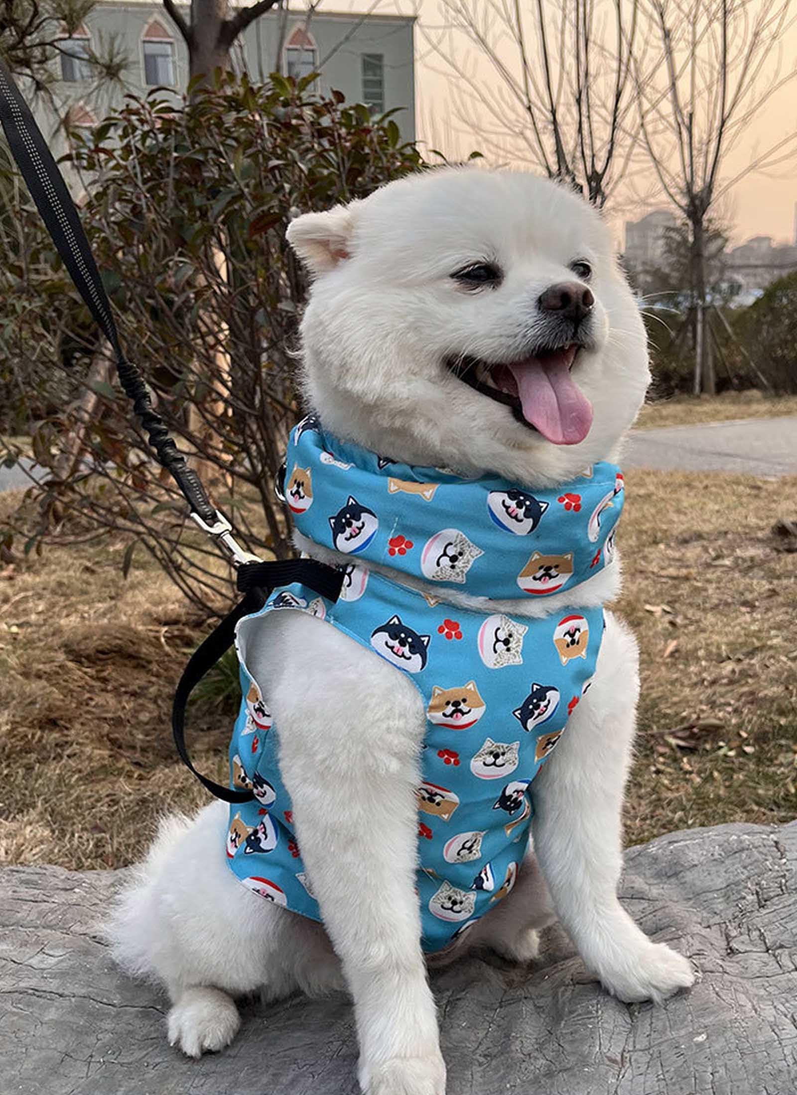 犬 夏服 冷感クールベストと犬 クールネックネッククーラー 犬 保冷剤なし首 冷やすひんやりグッズ 夏..