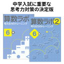 算数ラボペアセット 6級 新学社 正規販売店 算数ラボと算数ラボ2のセット 小学生 小学 算数 ラボ 算数セット 算数ノート さんすう 小学6年 ワークブック 考える力 応用問題 思考力検定 小学6年生前後が目安 中学受験 ワークブック ドリル