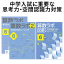 算数ラボ ペアセット 算数ラボ図形 6級 新学社 正規販売店 小学生 算数セット 算数ノート さんすう 小学6年 小6 ワークブック 応用問題 考える力 思考力検定 中学受験 ワークブック ドリル