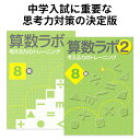 算数ラボペアセット 8級 新学社 正規販売店 算数ラボと算数ラボ2のセット 小学生 小学 算数 ラボ 算数セット 算数ノート さんすう 小学4年 ワークブック 考える力 思考力検定 小学4年生前後が目安 中学受験 ワークブック ドリル