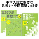 算数ラボ ペアセット 算数ラボ図形 8級 新学社 正規販売店 小学生 算数セット 算数ノート さんすう 小学4年 小4 ワークブック 応用問題 考える力 思考力検定 中学受験 ワークブック ドリル