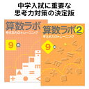 算数ラボペアセット 9級 新学社 正規販売店 算数ラボと算数