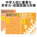 算数ラボ ペアセット 算数ラボ図形 9級 新学社 正規販売店 小学生 算数セット 算数ノート さんすう 小学3年 小3 ワークブック 応用問題 考える力 思考力検定 中学受験 ワークブック ドリル