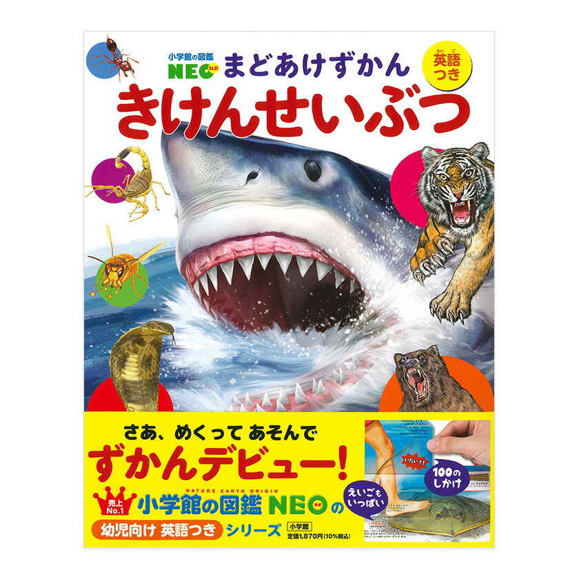 ޤɤ 󤻤֤ ѸĤ شۤο޴NEO ش ̵  Ļ ޴ ޤ ΰ ųݤ