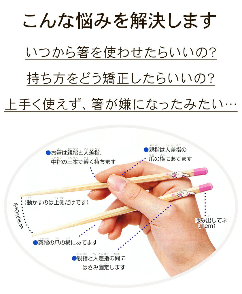 箸 子供 六角 本格六角箸 正規品 天然漆仕上げ 日本製 食洗機は使えません 【せいわ箸店 正規販売店】 せいわ 六角 知能はし 国産 滑り止め 2歳 3歳 4歳 5歳 6歳 子ども 矯正箸 木 しつけ箸 お箸 持ち方 練習 トレーニング 小学生 送料無料