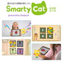 SmartyCat スマーティーキャット 6カ月コース オンラインで英語学習 送料無料 お得な 使い放題 子ども 幼児 英語教材 おすすめ 英会話教材 英単語 英語 発音 アルファベット 数字 文法 歌 英語歌 表現 学習 英語絵本 本 英会話の商品画像