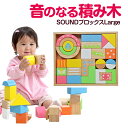 知育玩具 1歳 2歳 積み木 SOUNDブロックスLarge...