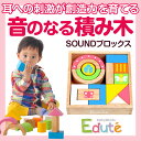 知育玩具 1歳 2歳 積み木 SOUNDブロックス(エデュテ...