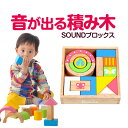 知育玩具 1歳 2歳 積み木 SOUNDブロックス(エデュテ...