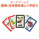 英語 カード ゲーム 英語教材 Bigger Than Card Game ビッガーザンカードゲーム 動物単語 英単語 カードゲーム【送料無料】 知育おもちゃ 家庭学習 学習 自宅学習 教育 家庭 自宅 学習 1