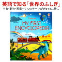 My First Encyclopedia 英語 百科事典 Usborne 図鑑 英語教材 イラスト辞典 絵本 宇宙 恐竜 動物 人体 歴史 科学 多読 学習 子ども 大人 学び直し アズボーン はじめての 国語辞典 英語辞書 英単語 英会話 教材 英検 TOEIC 対策 事典 誕生日 人気 プレゼント ギフト