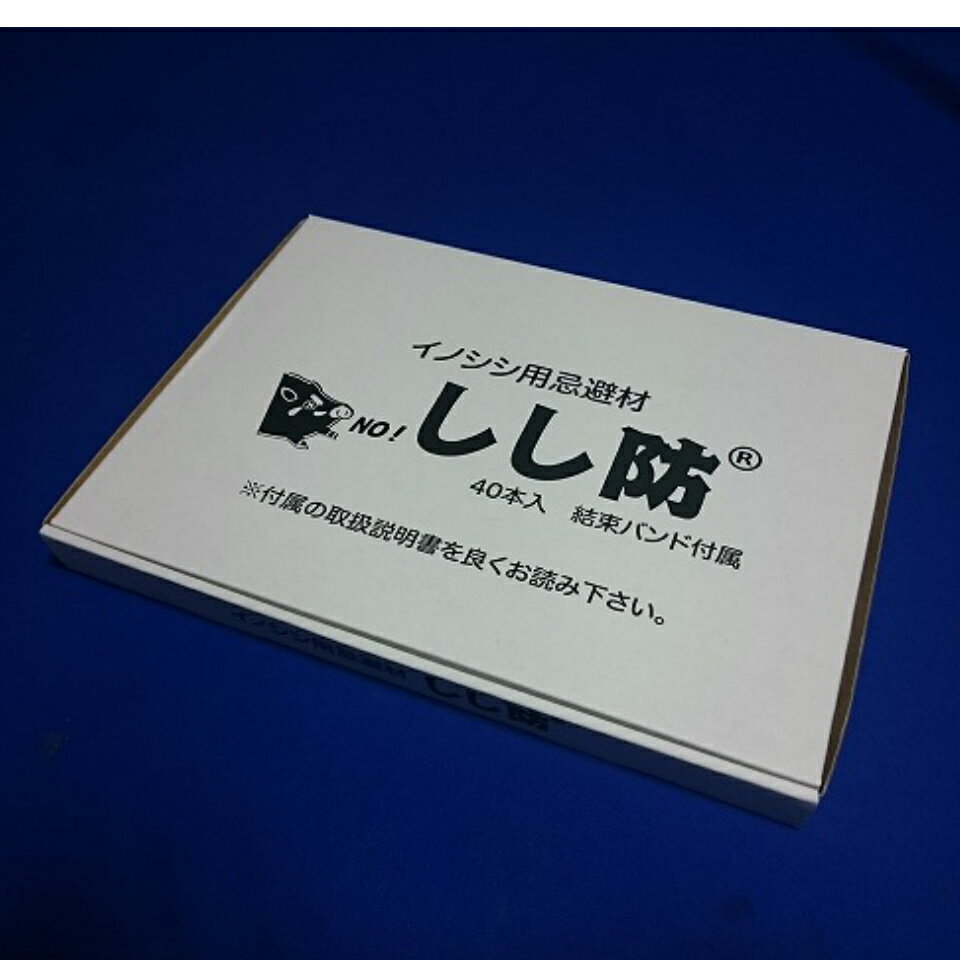 ���Υ��� ��� ���Υ����ǤΤ�Ǻ�߲�褷�ޤ��� ���Υ����Ѵ���ޡؤ�����40������BOX�� �� ���� ���� ��ʪ�ﳲ ���к� �ó� �ﳲ ���Τ��� �� ��� ����ܥ� ������ ���� ����� �ųݤ� ���Υ������� ��ñ