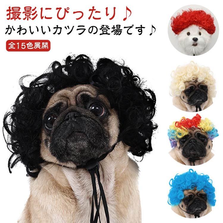 楽天市場】かつら ドレッド（犬用品｜ペット・ペットグッズ）の通販