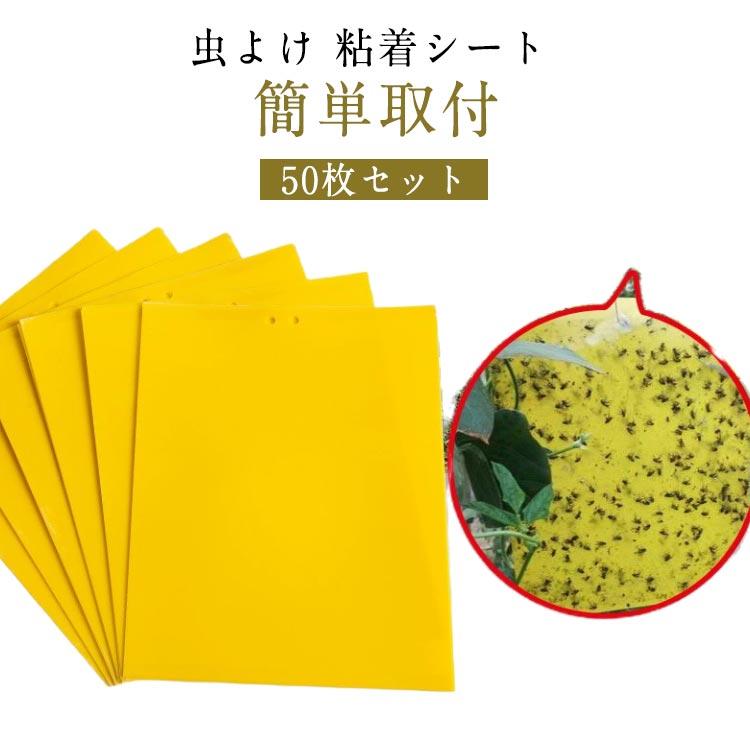 【楽天スーパーSALE】【50枚セット】 虫よけ 粘着シート ハエ取り紙 コバエ取り 粘着トラップ 粘着マット コバエ 虫取りシート 捕虫シート 害虫捕獲粘着紙