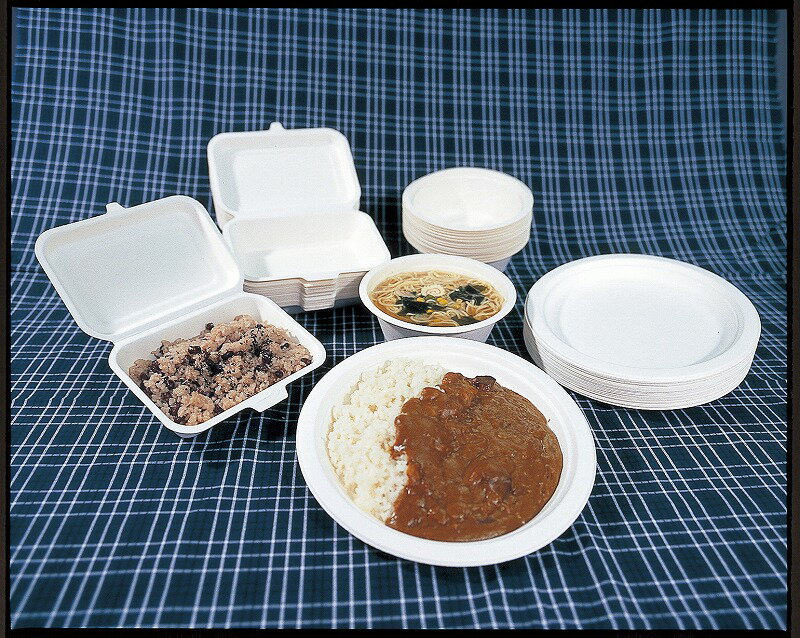 Rakuten - 大皿(50枚組)